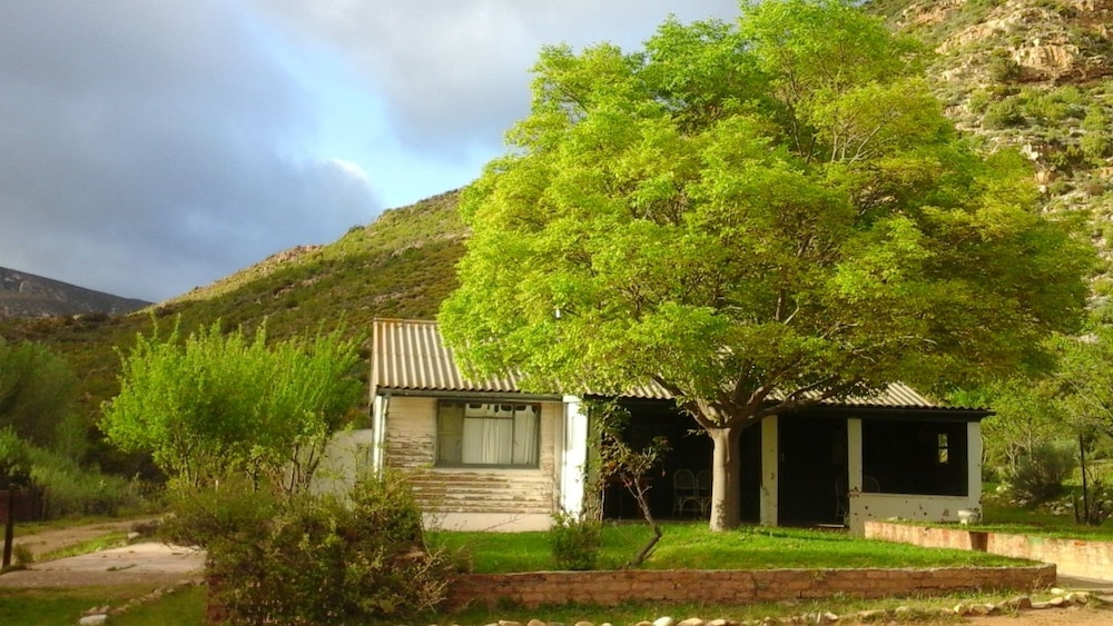 willowmore