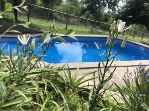 hills and dales accommodation