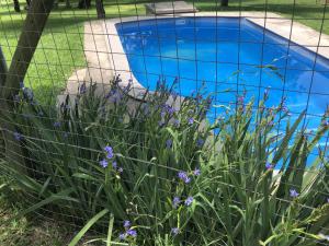 hills and dales accommodation