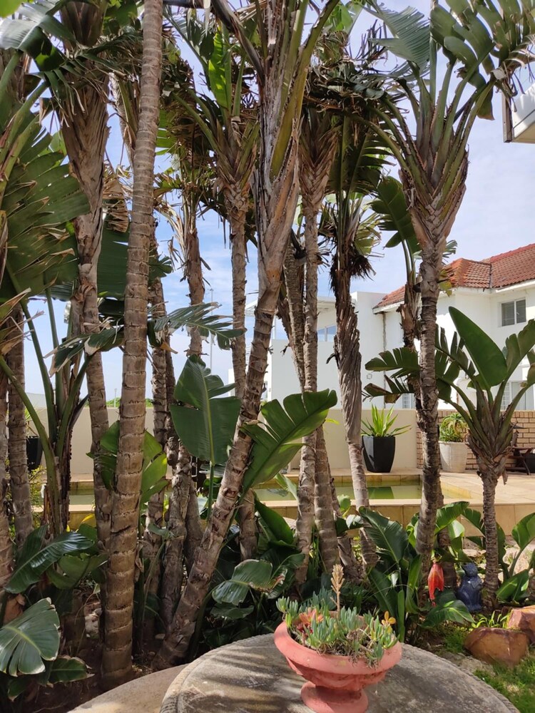 palm beach guesthouse