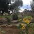 eldorado lodge cc