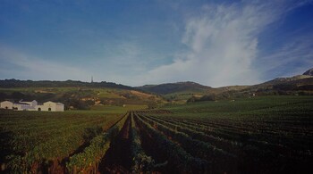 Laborie Estate,Cape Winelands>>Cape Town,3.5 star