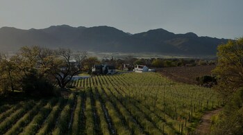 Laborie Estate,Cape Winelands>>Cape Town,3.5 star