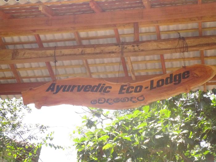 green herbal ayurvedic eco lodge