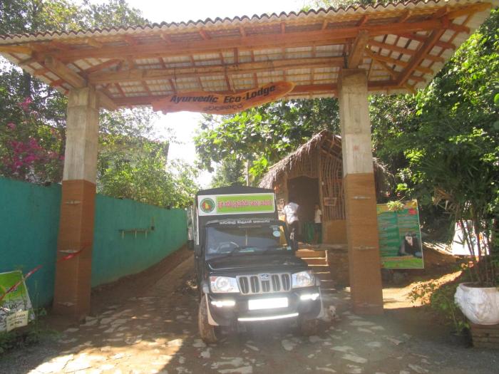 green herbal ayurvedic eco lodge