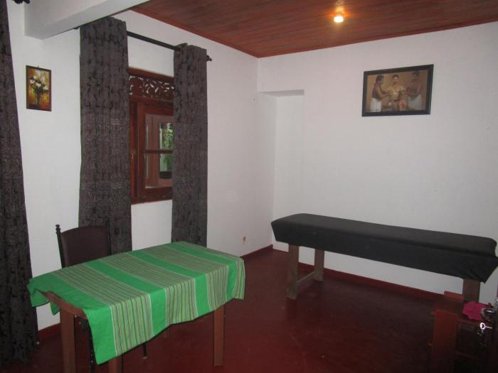 green herbal ayurvedic eco lodge