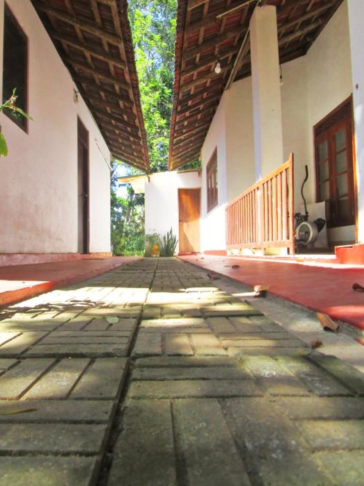 green herbal ayurvedic eco lodge