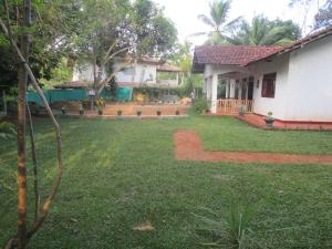 green herbal ayurvedic eco lodge