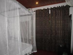 green herbal ayurvedic eco lodge