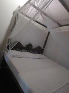 green herbal ayurvedic eco lodge