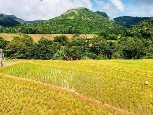 meemure isabulana resort hostel