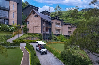 the golden ridge hotel