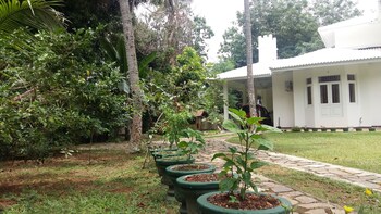 white house