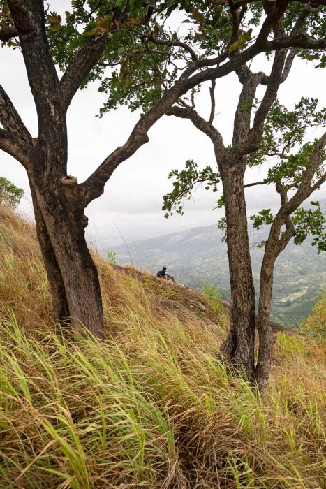 kandy victoria eco resort