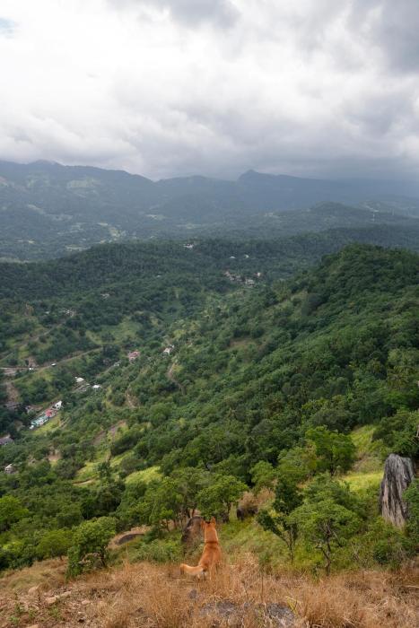 kandy victoria eco resort