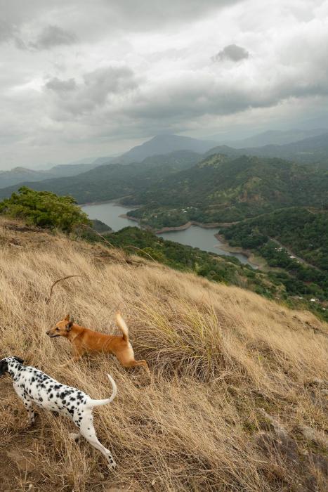 kandy victoria eco resort