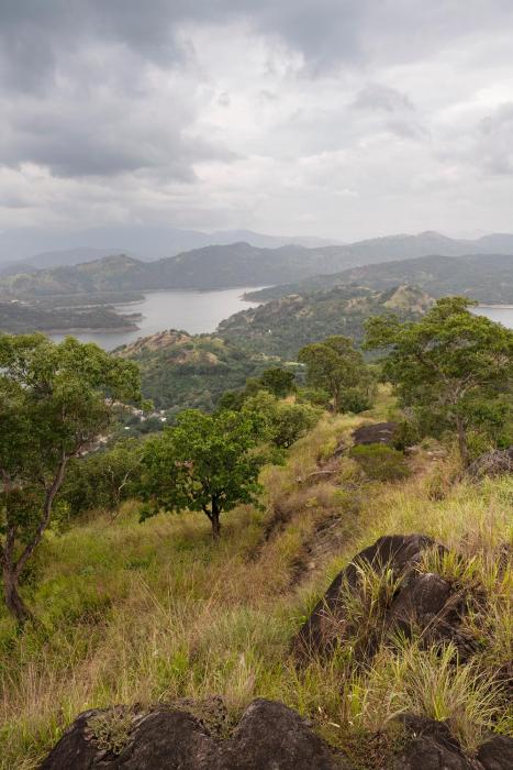 kandy victoria eco resort