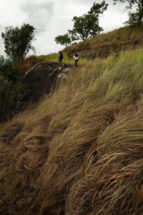 kandy victoria eco resort