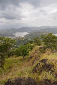 kandy victoria eco resort