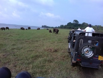 Prasad Suomi Villa,Matara>>Kamburugamuwa,2.5 star