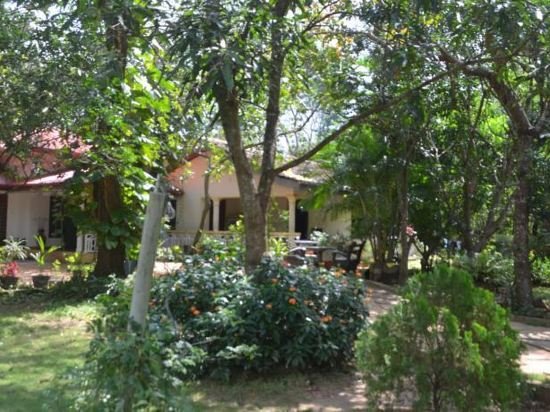 n l i guest house