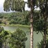 kandy