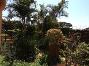 damicha boutique lodge