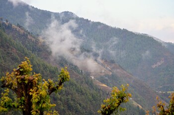 Retreat At Damaar,Balthali>>Bagmati,3 star