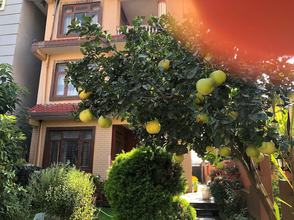 kantipur temple homestay