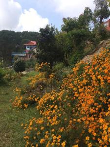 hotel galaxy view tower