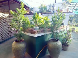 golden rose guest house