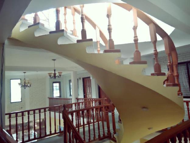 golden rose guest house