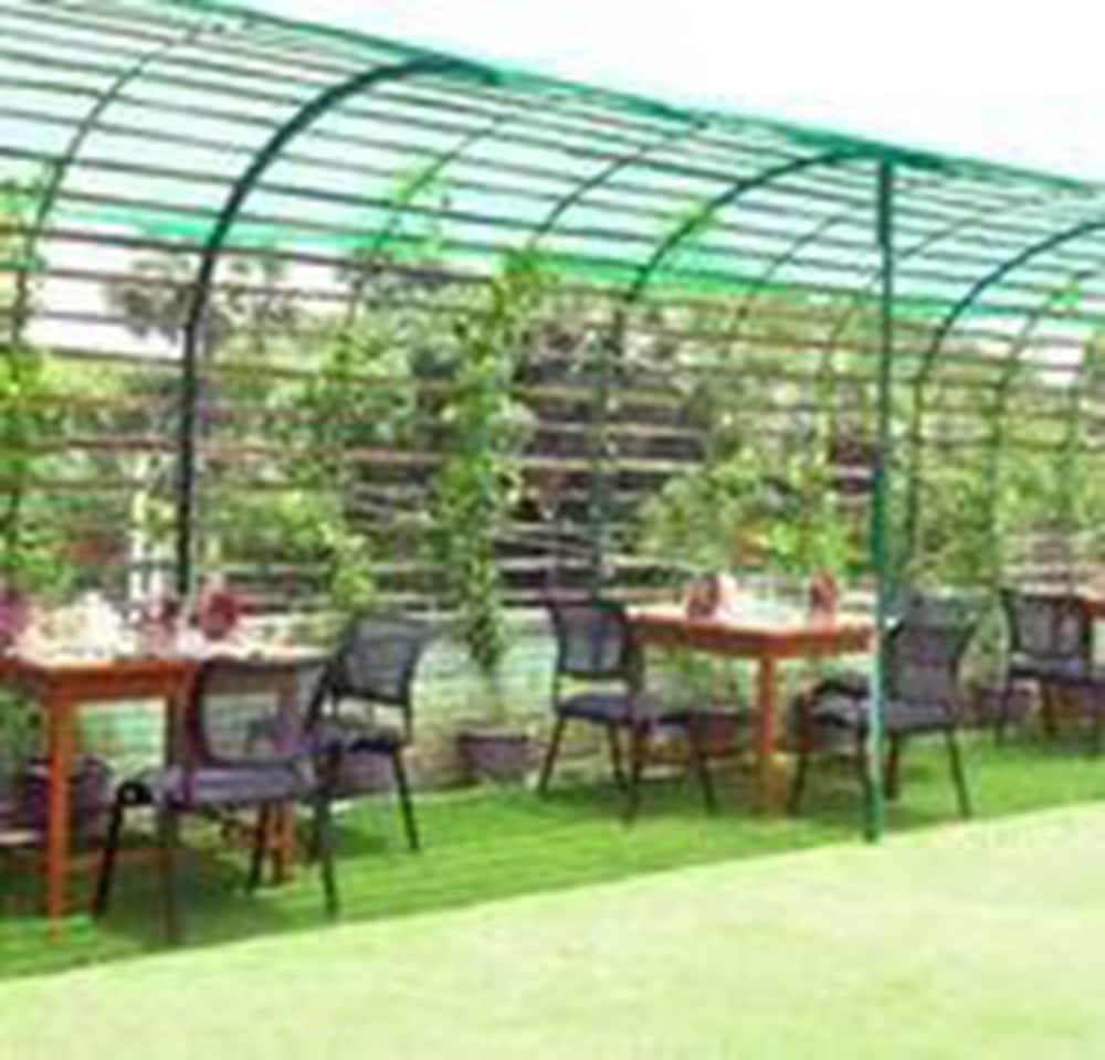 golden rose guest house