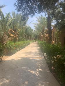 riad le jasmin