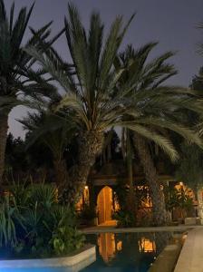 riad le jasmin