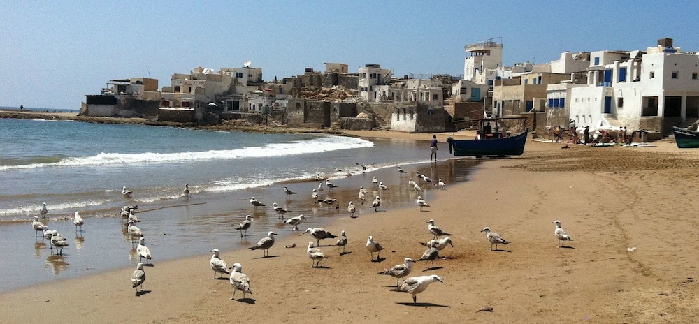 sidi bibi