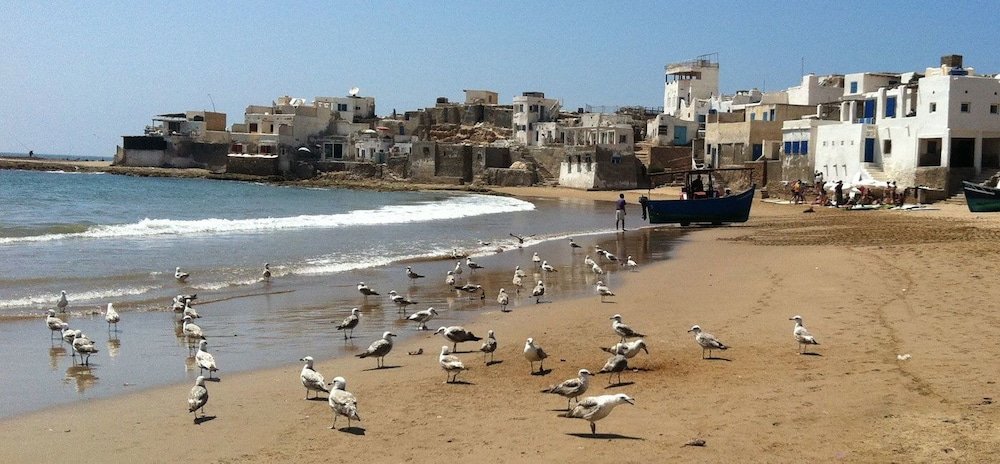 sidi bibi