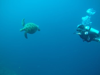 westcoast guest house