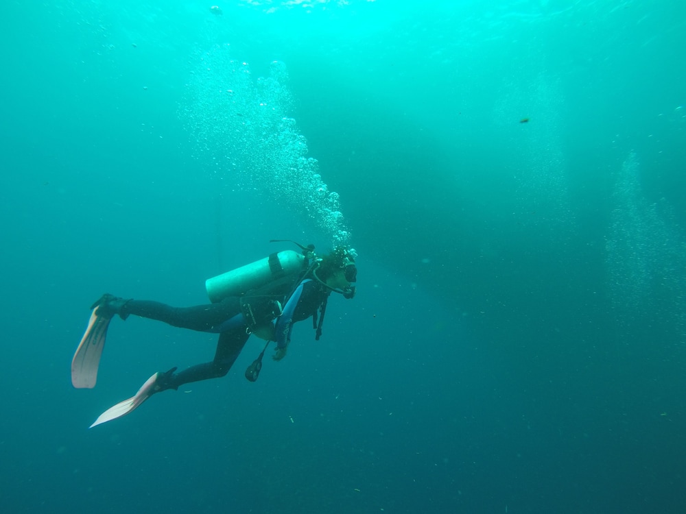 westcoast guest house