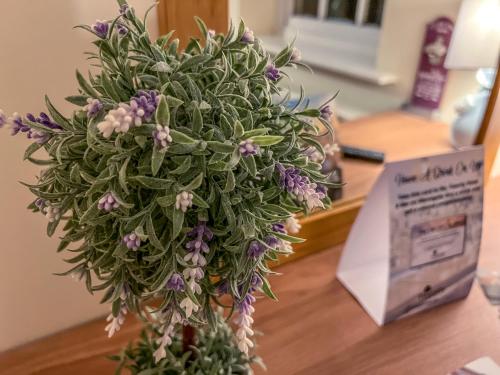 twenty hotel and bar