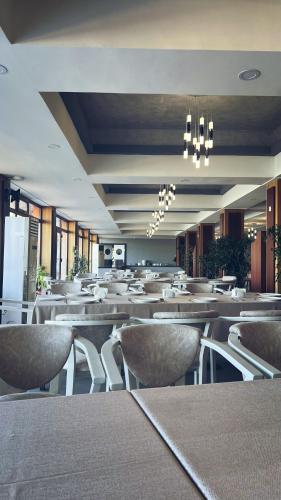 avenue park hotel