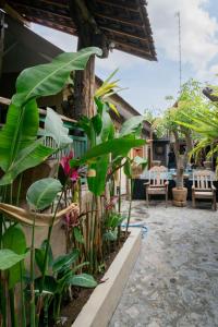 wave and chill house hostel raya canggu