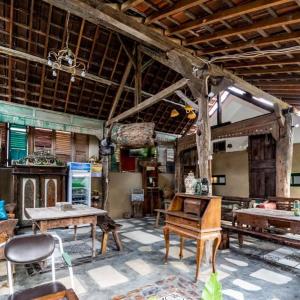wave and chill house hostel raya canggu