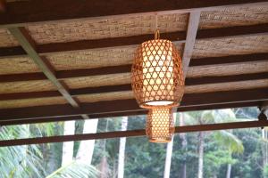 buda cottage ubud