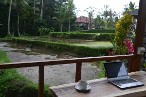 buda cottage ubud