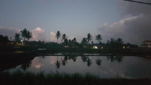 buda cottage ubud
