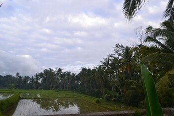 ubud