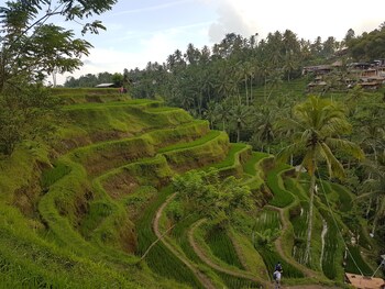 ubud