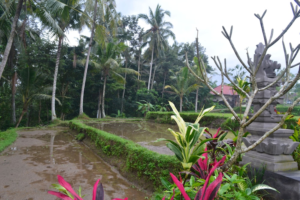 ubud