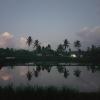 buda cottage ubud
